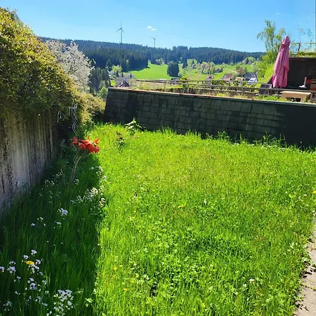 Pls Pay Attention On Small Problem Of Electricity, Mountain View With Garden, Parking On Site Free Schonach im Schwarzwald