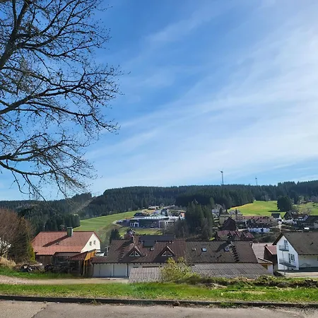 Pls Pay Attention On Small Problem Of Electricity, Mountain View With Garden, Parking On Site Free Schonach im Schwarzwald